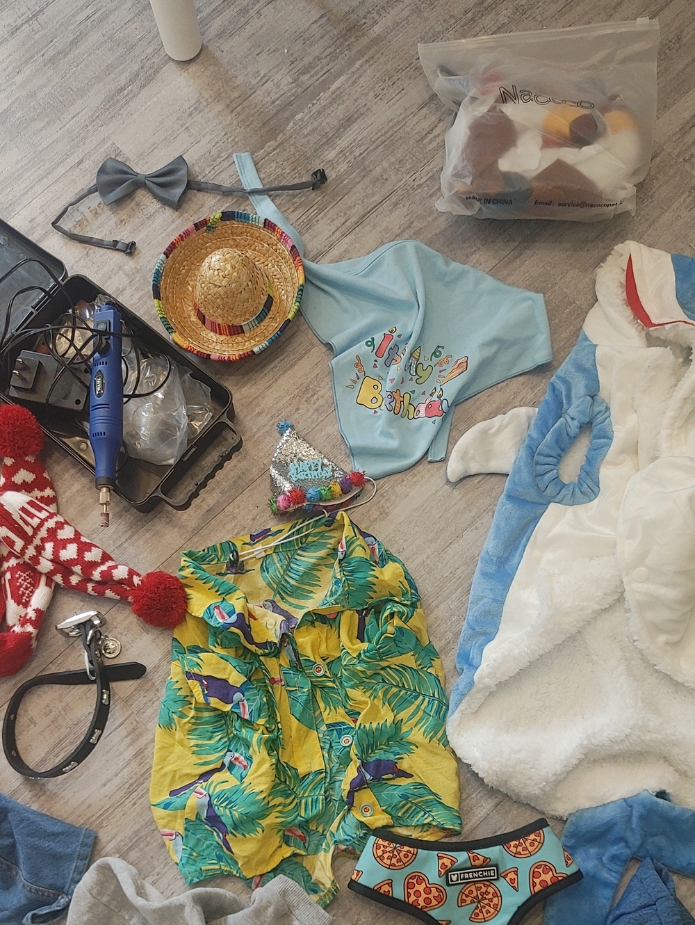 HUGE FRENCHIE LOT L/XL French Bulldog Clothes & Accessories - Picture 3 of 10
